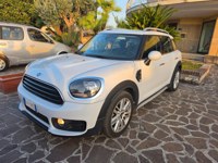MINI Countryman D (Cooper) 2019 occasion