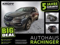 Opel Grandland (X) 2021 occasion