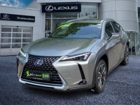 Lexus UX 2023 occasion