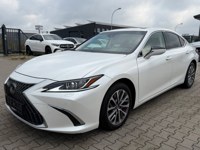 Lexus ES 300 2023 occasion