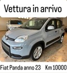 Fiat Panda 2023 occasion