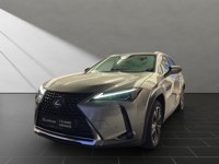 Lexus UX 2023 occasion