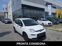 Fiat Panda 2023 occasion