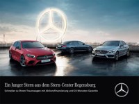 Smart Andere 2023 occasion