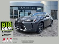 Lexus UX 2023 occasion