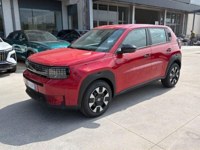 Fiat Grande Panda 2025 occasion