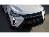 Mitsubishi Grandis 2026 occasion