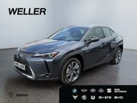 Lexus UX 2026 occasion