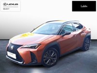 Lexus UX 2024 occasion