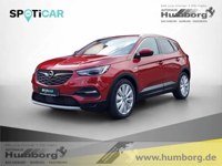 Opel Grandland (X) 2019 occasion