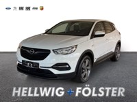 Opel Grandland (X) 2021 occasion