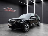 Skoda Kodiaq 2024 occasion