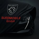 Peugeot Partner 2024 occasion