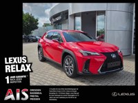 Lexus UX 2025 occasion