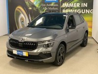 Skoda Kamiq 2025 occasion