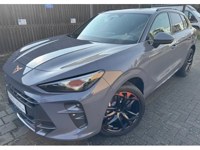 Cupra Andere 2025 occasion