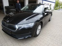Audi S5 2025 occasion