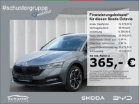 Skoda Octavia 2024 occasion