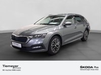 Skoda Octavia 2023 occasion