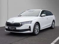 Skoda Octavia 2024 occasion