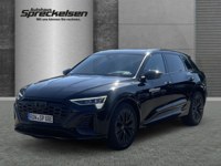 Audi Q8 e-tron 2025 occasion