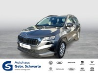 Skoda Karoq 2025 occasion