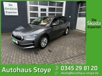 Skoda Octavia 2025 occasion