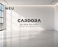 Audi Q4 2024 occasion